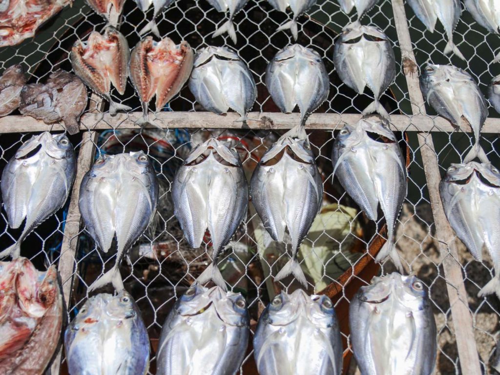 panglong village fishery