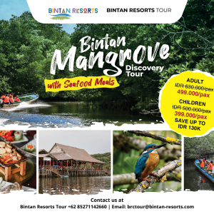 Bintan Mangrove Discovery Tour