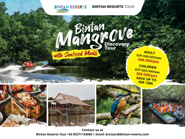 Bintan Mangrove Discovery Tour