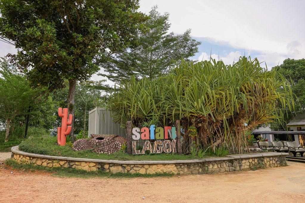 Safari Lagoi - Best Zoo in Bintan Island