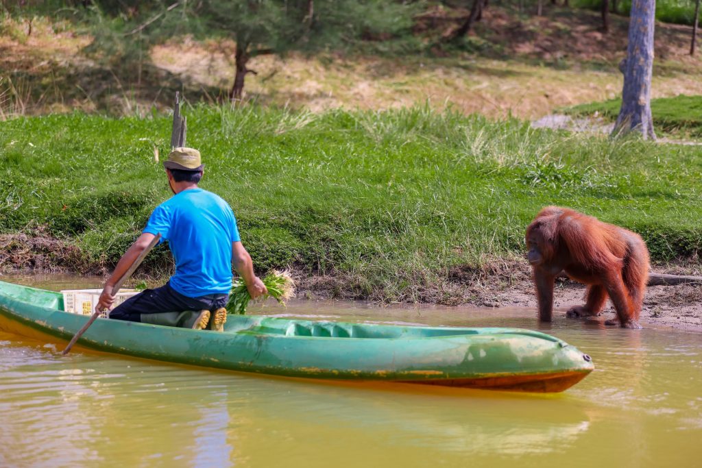 Safari Lagoi Bintan Island