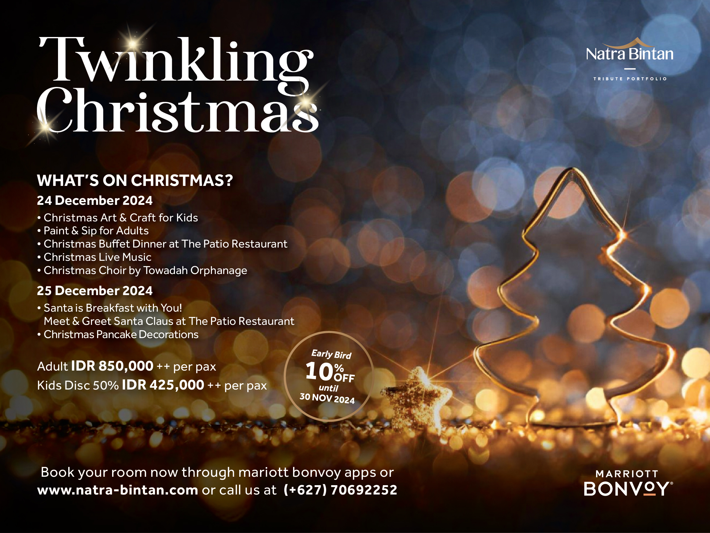 Experience the Magic of a Twinkling Christmas at Natra Bintan!